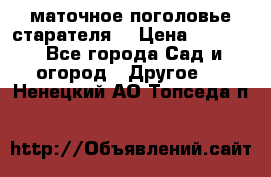 маточное поголовье старателя  › Цена ­ 3 700 - Все города Сад и огород » Другое   . Ненецкий АО,Топседа п.